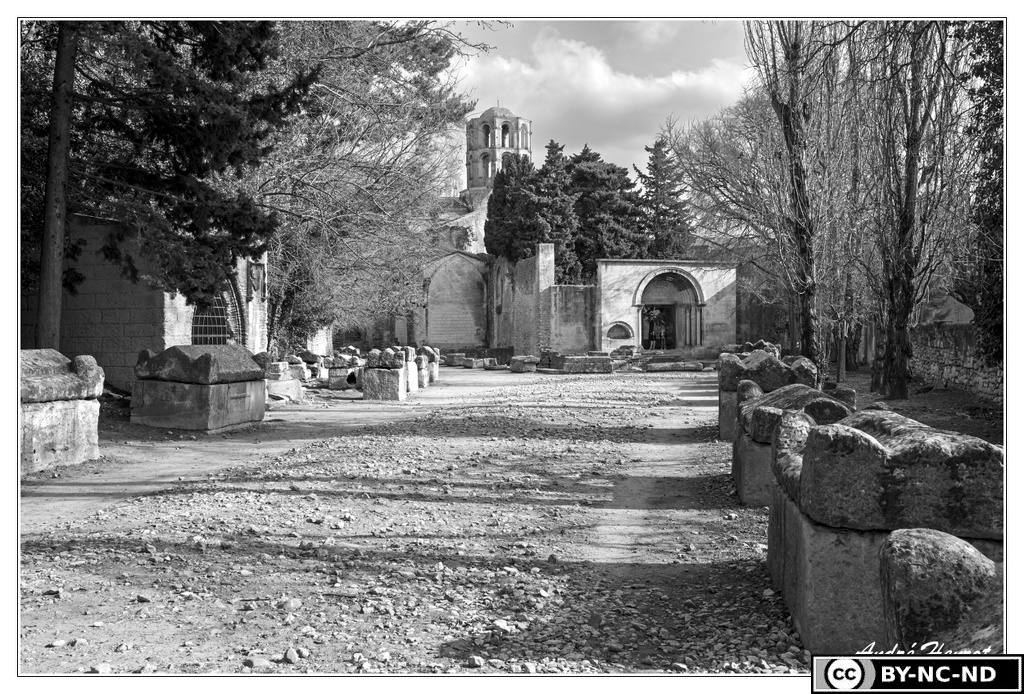 Arles Alycamps&amp;Eglise-Saint-Honorat DSC 9264 N&amp;B