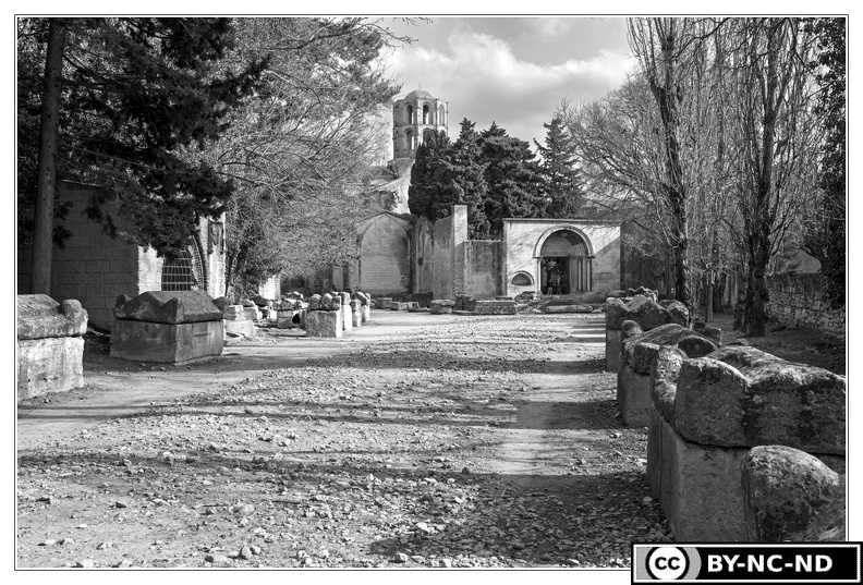Arles_Alycamps&Eglise-Saint-Honorat_DSC_9264_N&B.jpg