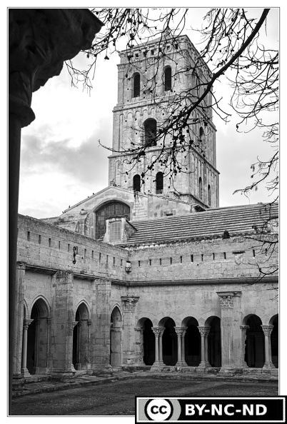 Arles Cloitre-Saint-Trophime DSC 9162 N&amp;B