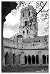 Arles Cloitre-Saint-Trophime DSC 9162 N&amp;B