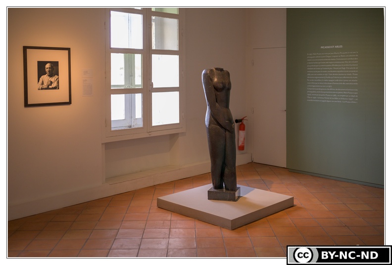 Arles Musee-Reattu DSC 9297