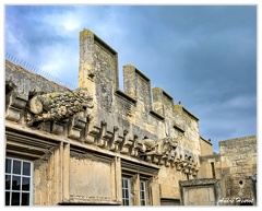 Arles Musee-Reattu DSC 9319