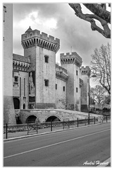 Tarascon Chateau DSC 9372