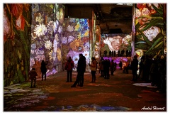 Carrieres-de-Lumieres Van-Gogh DSC 9843