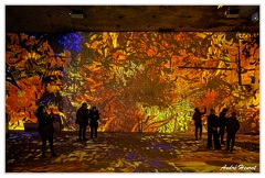 Carrieres-de-Lumieres Van-Gogh DSC 9848
