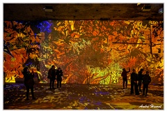 Carrieres-de-Lumieres Van-Gogh DSC 9848