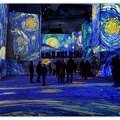 Carrieres-de-Lumieres Van-Gogh DSC 9898