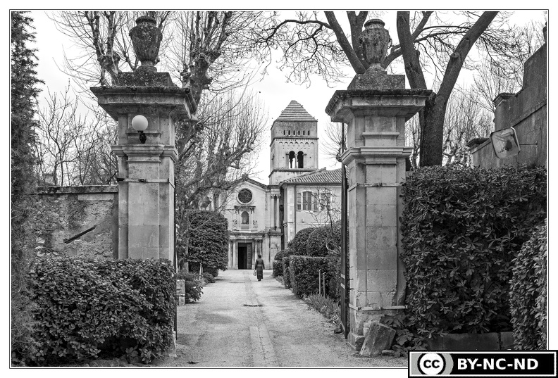 Saint-Remy-de-Provence_Monastere-Saint-Paul-de-Mausole_DSC_9595_N&B.jpg