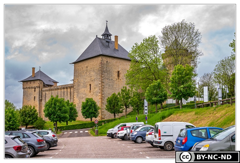Chateau-de-Malbrouck_DSC_8011.jpg