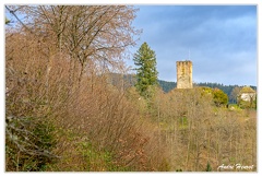 Hornberg Chateau DSC 8540