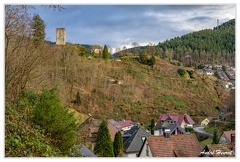 Hornberg Chateau DSC 8541