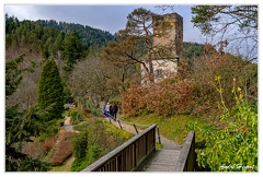 Hornberg Chateau DSC 8552