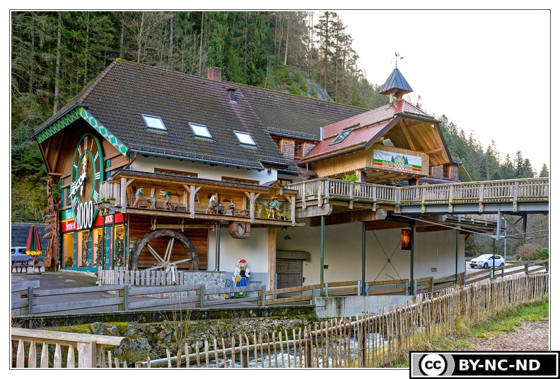 Triberg_Magasin_Coucou-geant_DSC_8580.jpg