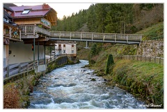 Triberg Magasin Coucou-geant&amp;Gutach DSC 8585