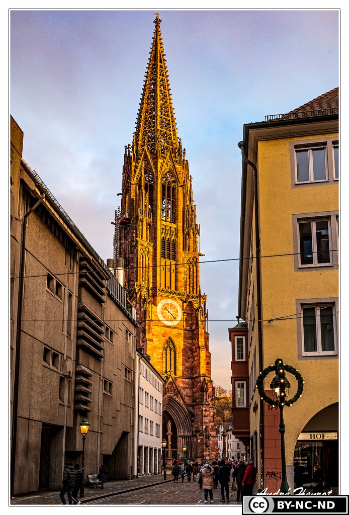 Freiburg DSC 8780