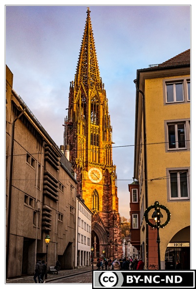 Freiburg DSC 8780
