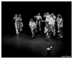 Option Théâtre 1ères/Term 