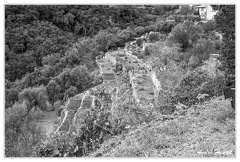 Tourettes-Sur-Loup DSC 0532 N&amp;B