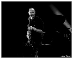 Pierre-Horckmans DSC 1055 5x4