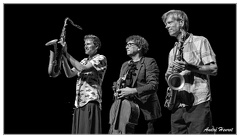 Robin-Fincker&amp;Vincent-Courtois&amp;Daniel-Erdmann DSC 2979 N&amp;B 16x9