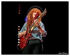 Veda-Bartringer DSC 9000 5x4