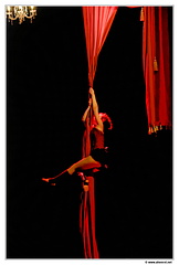 DSC 0195 1024