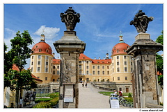 Moritzburg DSC 0315