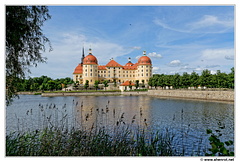 Moritzburg DSC 0327