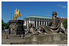 Dresde Chevalier-d-or DSC 0436