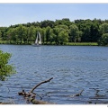 Pfaueninsel DSC 0074