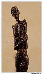 DSC 0337 (1903 visites) DSC 0337