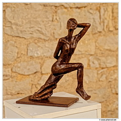 DSC 0341 (1861 visites) DSC 0341