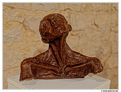 DSC 0342 (1745 visites) DSC 0342