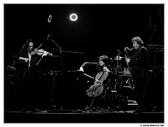 Dominique-Pifarely&Vincent-Courtois&Louis-Sclavis DSC 0732 N&B