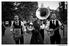 The-Sassy-Swingers