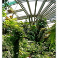 Botanischer 20150720 122721