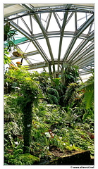 Botanischer 20150720 122721