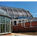 Botanischer 20150720 124238