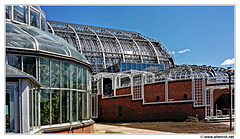 Botanischer 20150720 124238