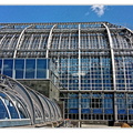Botanischer 20150720 125524