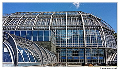 Botanischer 20150720 125524