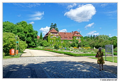 Botanischer DSC 0400