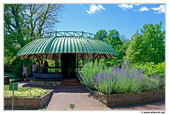 Botanischer DSC 0405