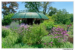 Botanischer DSC 0406