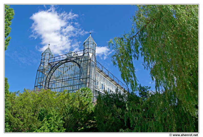 Botanischer_DSC_0407.jpg