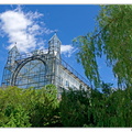 Botanischer DSC 0407