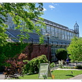 Botanischer DSC 0417