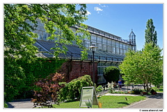 Botanischer DSC 0417