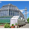 Botanischer DSC 0418