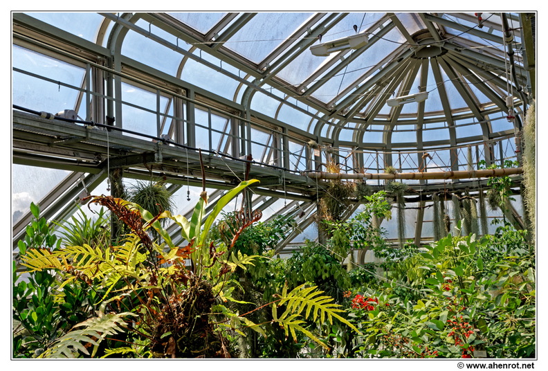Botanischer_DSC_0419.jpg